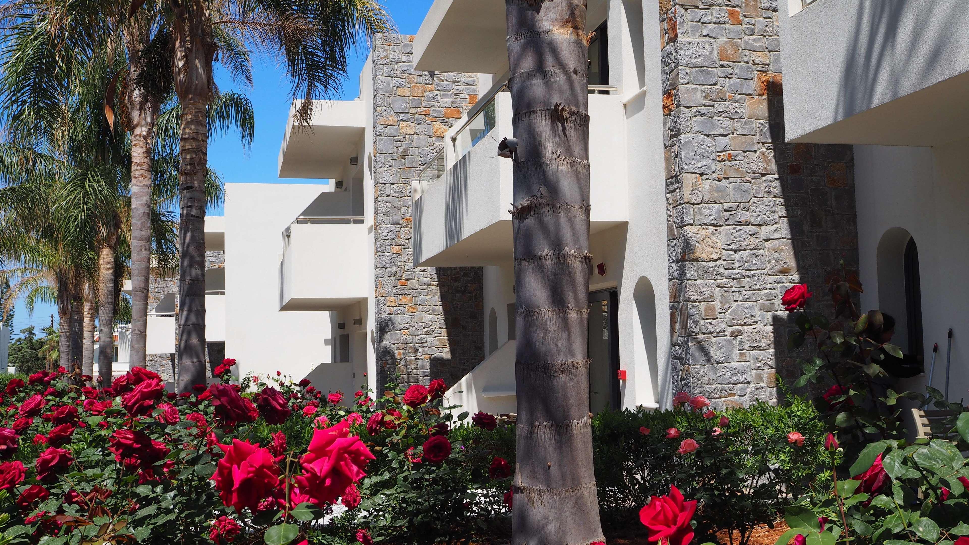 Cooee Kyknos Beach Hotel & Bungalows Malia  Exterior photo